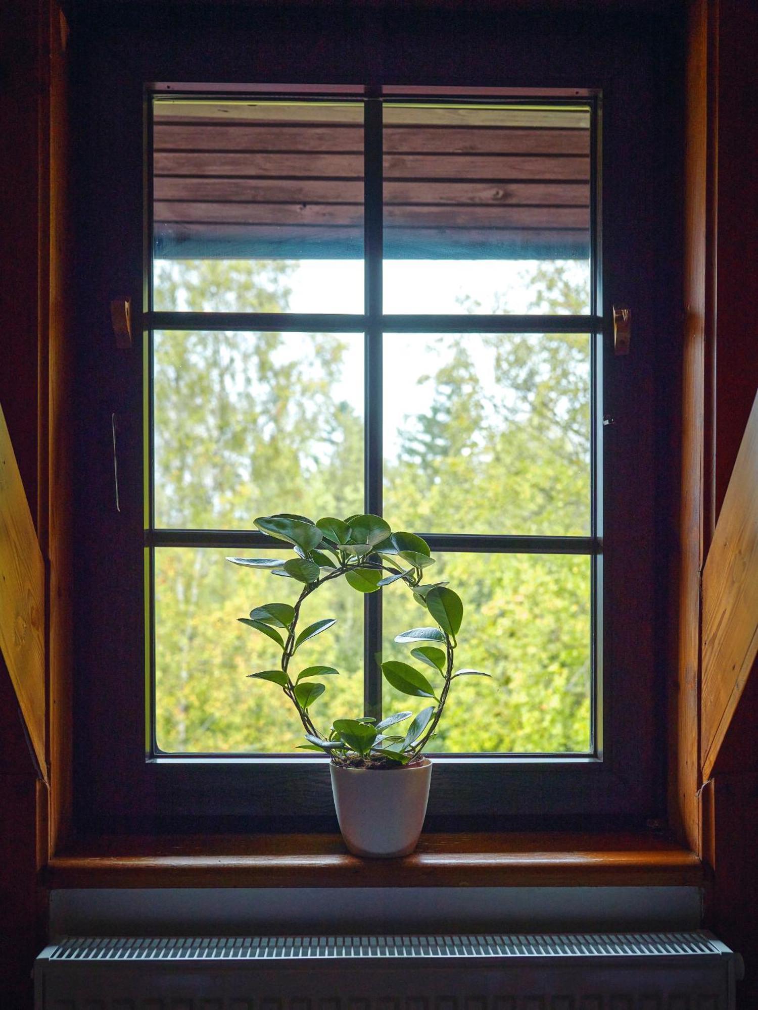 Hotel Na Vyhlidce Kořenov Extérieur photo